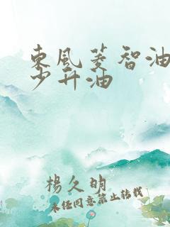 东风菱智油箱多少升油