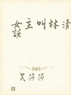 女主叫林清的小说