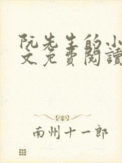 阮先生的小说全文免费阅读无弹窗