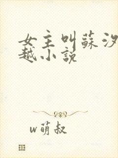 女主叫苏汐的穿越小说
