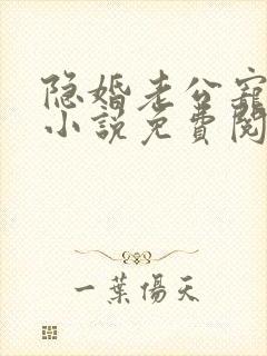 隐婚老公宠翻天小说免费阅读