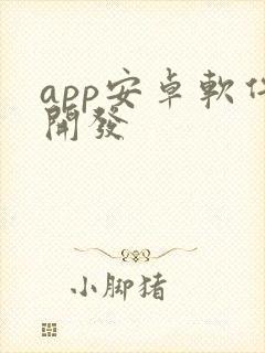 app安卓软件开发