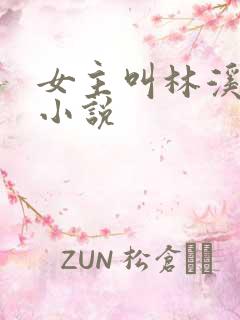 女主叫林溪月的小说