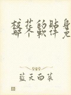 校花的贴身高手哪个软件免费