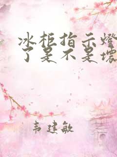冰柜指示灯不亮了是不是坏了