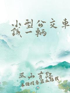 小型公交车多少钱一辆 小型公交车多少钱一辆