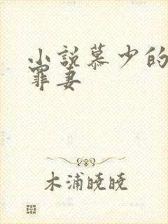 小说慕少的隐婚罪妻
