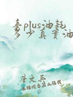 秦plus油耗多少真实油耗