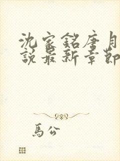 沈家铭唐月瑜小说最新章节更新时间
