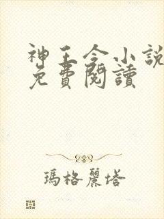 神王令小说全文免费阅读