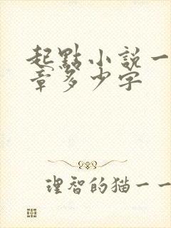 起点小说一般一章多少字
