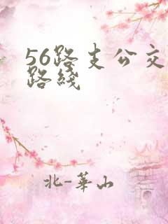 56路支公交车路线