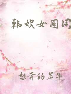 韩娱女团同人文