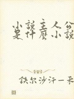 小说主人公叶凡是什么小说名