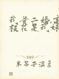 我爸二婚,高冷校花是我妹完结版
