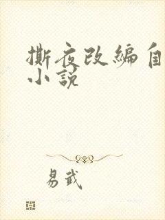 撕夜改编自哪部小说