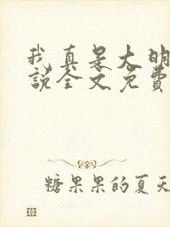我真是大明星小说全文免费阅读