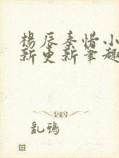 杨辰秦惜小说最新更新笔趣阁