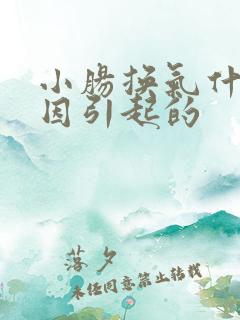 小肠换气什么原因引起的