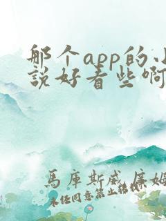 那个app的小说好看些啊 那个app的小说好看些啊