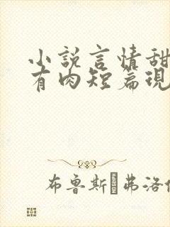 小说言情甜宠文有肉短篇现言