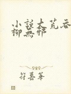 小说大荒吞天诀柳无邪