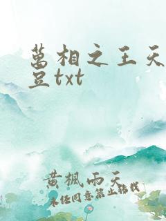 万相之王天蚕土豆txt