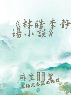 《林皓李静怡官场小说》