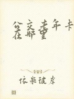 公交老年卡年检在哪里
