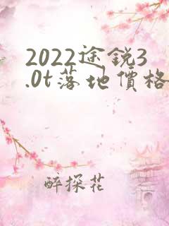 2022途锐3.0t落地价格
