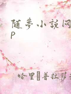 随梦小说网app