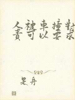 人被车撞对方全责可以要求对方赔偿什么