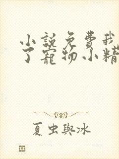 小说免费我变成了宠物小精灵