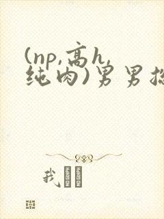 (np,高h,纯肉)男男总攻