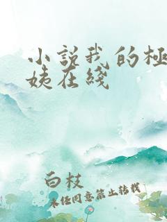 小说我的极品小姨在线