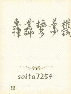 专业抚养权纠纷律师多少钱