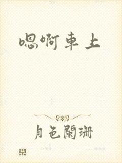 嗯啊车上