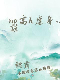 np高h虐身小说