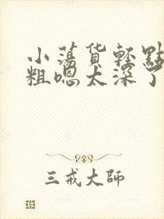 小荡货轻点灬太粗嗯太深了视频