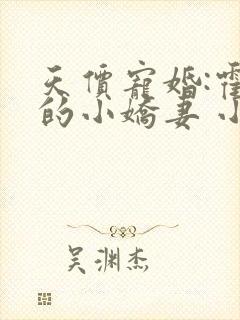 天价宠婚:霍总的小娇妻 小说