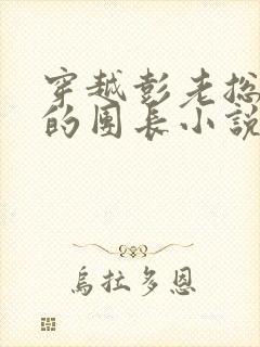 穿越彭老总手下的团长小说