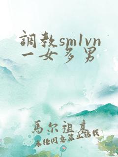 调教sm1vn一女多男
