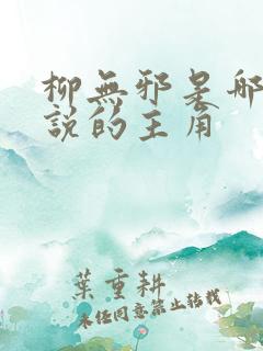 柳无邪是哪本小说的主角
