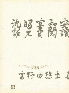 沈昭宴和安萌小说免费阅读