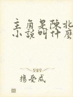 主角是陈北玄的小说叫什么