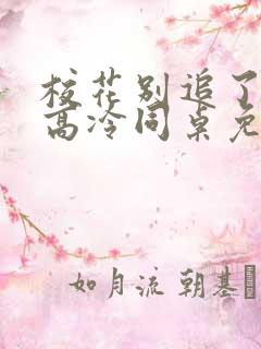 校花别追了我的高冷同桌免费阅读