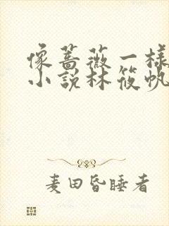 像蔷薇一样绽放小说林筱帆