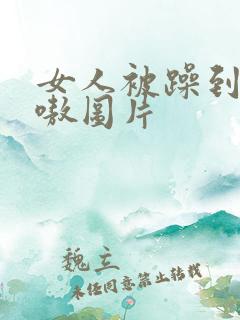 女人被躁到高潮嗷图片