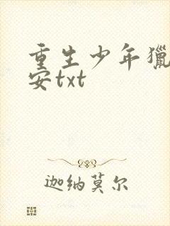 重生少年猎美赵安txt