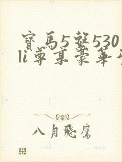 宝马5系530li尊享豪华型